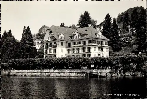 Ak Weggis Kanton Luzern, Hotel Central