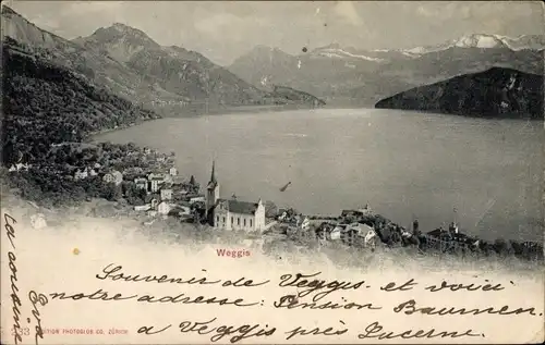Ak Weggis Kanton Luzern, Panorama