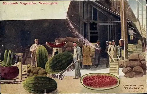 Künstler Ak Washington USA, Mammoth Vegetables, Riesige Wassermelonen, Gemüse
