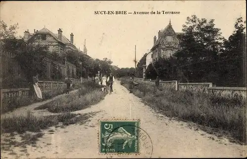 Ak Sucy en Brie Val de Marne, Avenue de la Terrasse