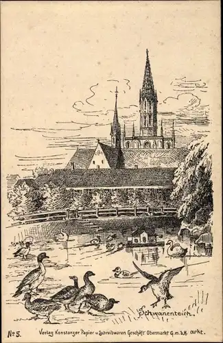 Künstler Ak Konstanz am Bodensee, Schwanenteich
