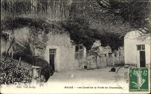 Ak Baugé Maine et Loire, Les Caves de la Foret de Chandelais