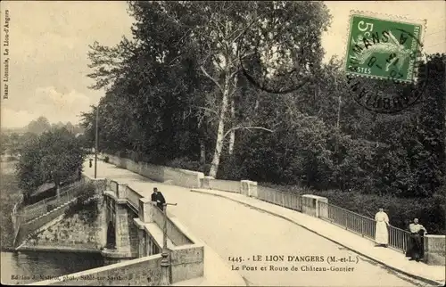 Ak Le Lion d'Angers Maine et Loire, Le Pont et Route de Chateau Gontier