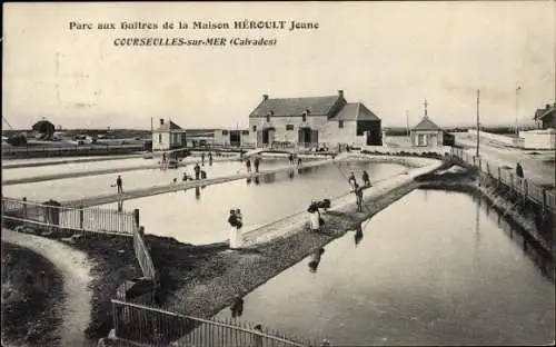 Ak Courseulles sur Mer Calvados, Parc aux huitres de la Maison Heroult Jeune