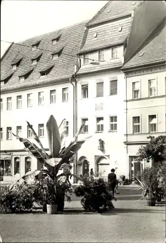 Ak Pirna an der Elbe, Ortsansicht, Straßenpartie