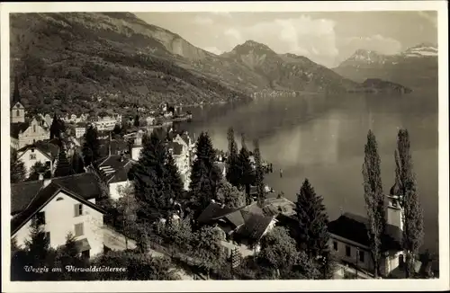 Ak Weggis Kanton Luzern, Teilansicht mit Vierwaldstätter See, Vogelschau, Kirche