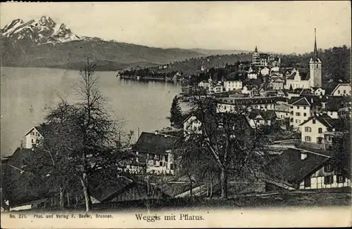 Ak Weggis Kanton Luzern, Teilansicht mit Pilatus