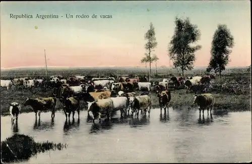 Ak Argentinien, Un rodeo de vacas