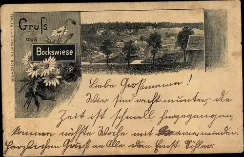 Ak Hahnenklee Bockswiese Goslar in Niedersachsen, Teilansicht