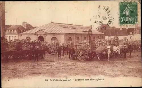 Ak Saint Pol de Leon Finistère, Marché aux choux fleurs