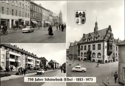 Wappen Ak Schönebeck an der Elbe, Salzer Straße, Krausestraße, Rathaus