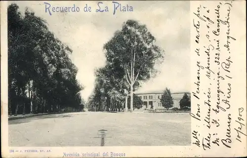 Ak La Plata Argentinien, Avenida principal del Bosque