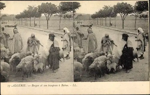 Stereo Ak Batna Algerien, Berger et son troupeau