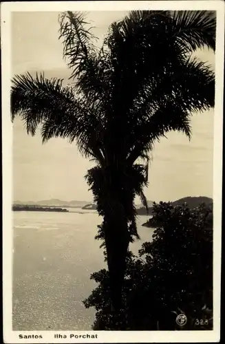 Ak Santos Brasilien, Ilha Porchat, Blick auf Palme