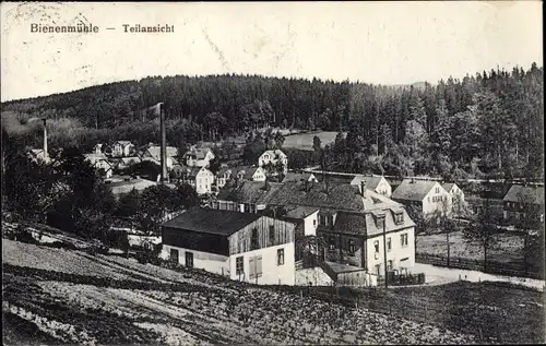 Ak Rechenberg Bienenmühle Erzgebirge, Teilansicht