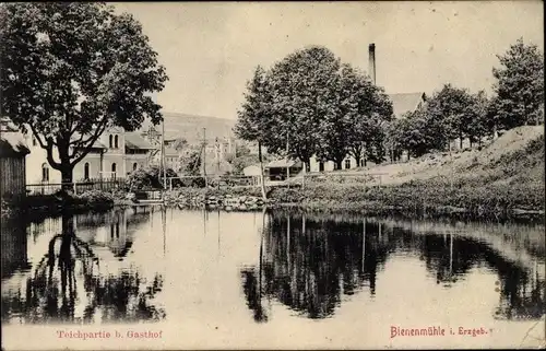 Ak Rechenberg Bienenmühle Erzgebirge, Teichpartie beim Gasthof