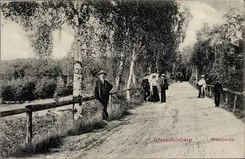 Ak Großsteinberg Parthenstein in Sachsen, Waldpartie