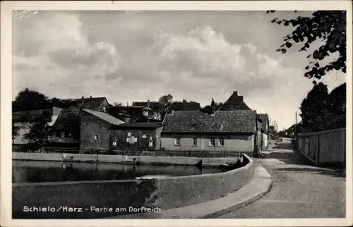 Ak Schielo Harzgerode am Harz, Partie am Dorfteich