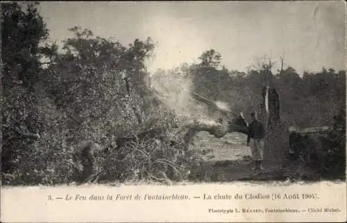Ak Fontainebleau Seine et Marne, Le Feu dans la Foret 1904, La chute du Clodion