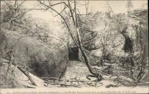 Ak Fontainebleau Seine et Marne, Le Feu dans la Foret, Le Rocher Cuvier Chatillon, Incendie 1904