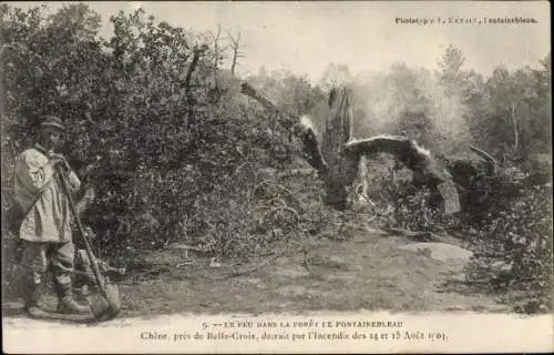 Ak Fontainebleau Seine et Marne, Le Feu dans la Foret, Incendie 1904, Chene, pres de Belle Croix