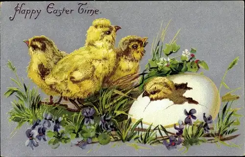 Ak Glückwunsch Ostern, Küken schlüpft aus Eierschale, Veilchen