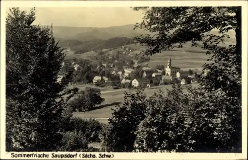 Ak Saupsdorf Sebnitz Sachsen, Gesamtansicht