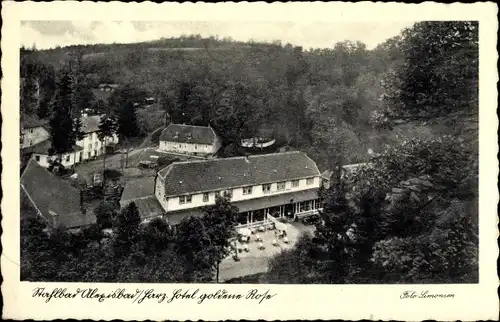 Ak Alexisbad Harzgerode am Harz, Hotel Goldene Rose