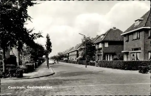 Ak Castricum Nordholland Niederlande, Geelvinckstraat