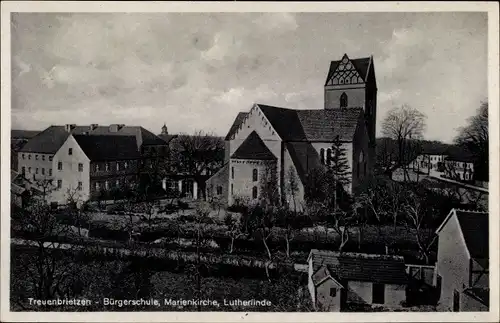 Ak Treuenbrietzen in Brandenburg, Bürgerschule, Marienkirche, Lutherlinde