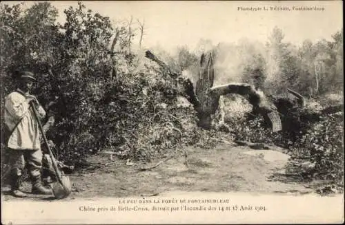 Ak Fontainebleau Seine et Marne, Le Feu dans la Foret 1904, Chene pres de Belle Croix