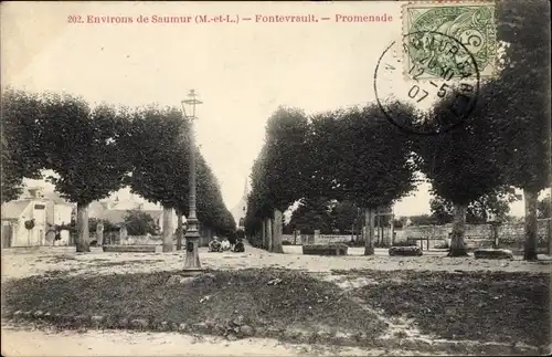 Ak Fontevrault Maine-et-Loire, Promenade