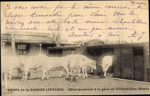 Ak Villefranche sur Saône Rhône, Boeufs de la Carnice Lefrancq, Debarquement a la gare