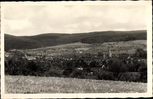 Ak Michelstadt im Odenwald, Gesamtansicht