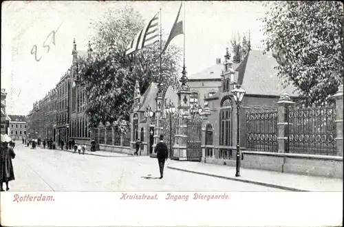 Ak Rotterdam Südholland Niederlande, Kruisstraat, Ingang Diergaarde