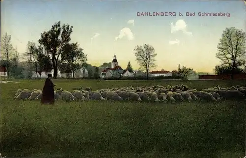 Ak Dahlenberg in der Dübener Heide Trossin, Hirt mit Schafherde