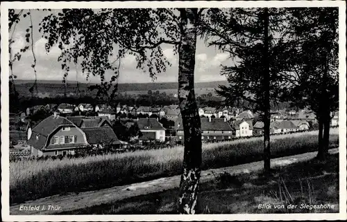 Ak Eisfeld in Thüringen, Blick von der Siegeshöhe