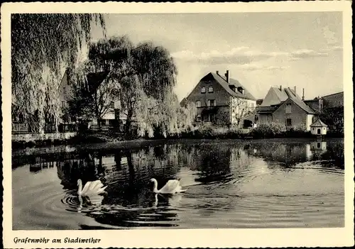 Ak Grafenwöhr in Bayern, Schwäne auf dem Stadtweiher