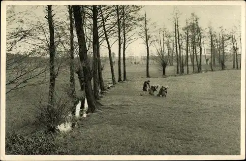 Ak Taucha in Nordsachsen, Leipziger Spaziergänge, Wiesenaue