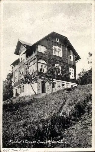 Ak Kipsdorf Altenberg im Erzgebirge, Haus Waldesruh