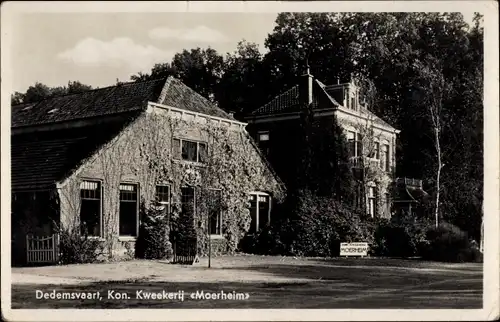 Ak Dedemsvaart Overijssel, Kon. Kweekerij Moerheim