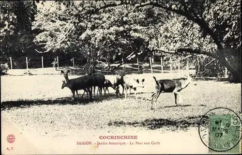 Ak Cochinchine Saigon Vietnam, Jardin botanique, le Parc aux Cerfs