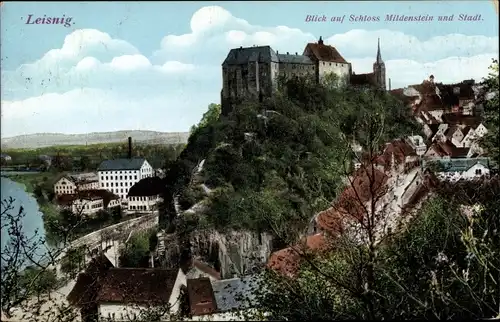 Ak Leisnig in Sachsen, Schloss Mildenstein und Stadt