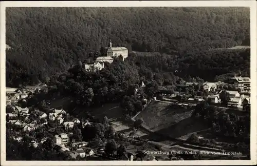 Ak Schwarzburg in Thüringen, Blick vom Trippstein