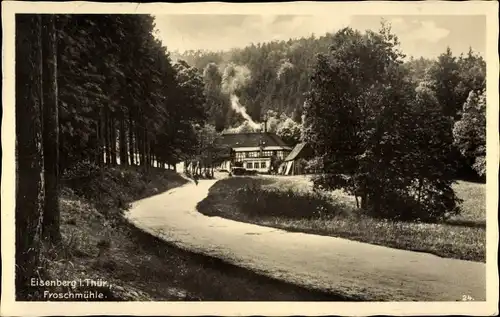 Ak Eisenberg in Thüringen, Froschmühle
