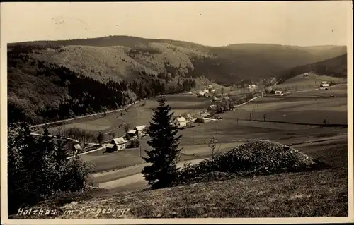 Ak Holzhau Rechenberg Bienenmühle Erzgebirge, Fernsicht, Ort, Umgebung