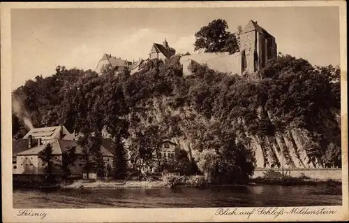 Ak Leisnig in Sachsen, Schloss Mildenstein