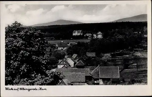 Ak Elbingerode Oberharz am Brocken, Teilansicht