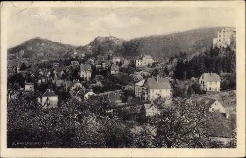 Ak Blankenburg am Harz, Teilansicht