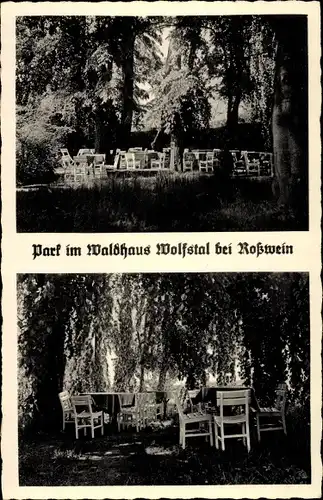 Ak Roßwein in Sachsen, Wolfstal, Park im Waldhaus Wolfstal, DS-Trainingslager Sektion Handball